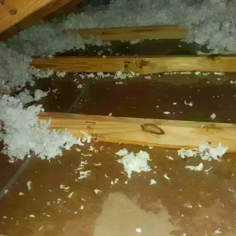 Attic Water Damage in Inez, TX