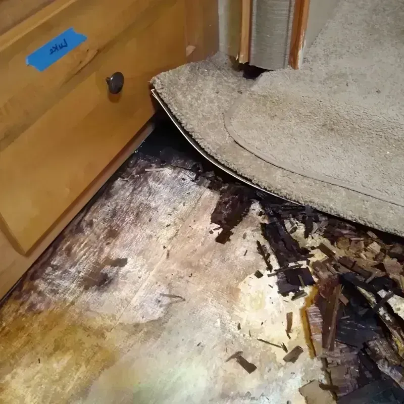 Wood Floor Water Damage in Inez, TX